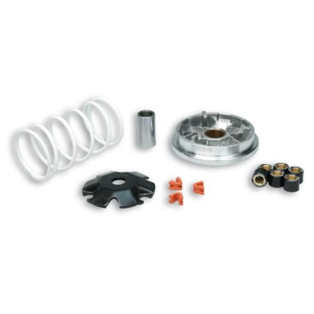 Kit Multivar 2000 Malossi per Honda Vision 50 e NSC50R