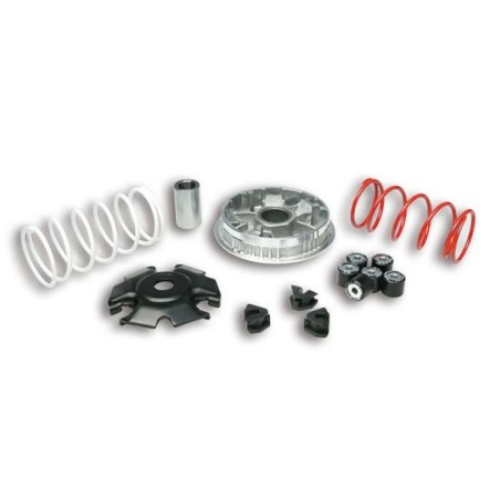 Kit Multivar 2000 Malossi per Piaggio Liberty, Vespa Primavera e Vespa Sprint  motore 125 3V