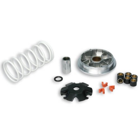 Kit Multivar 2000 Malossi per Peugeot Tweet 50, SYM Symphony 50...