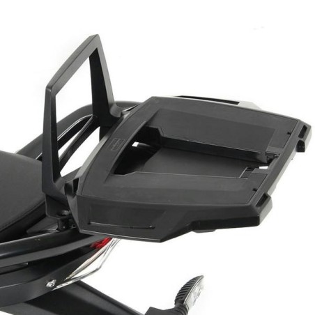 Portapacchi Hepco & Becker Alu Rack per BMW R1200R 2015