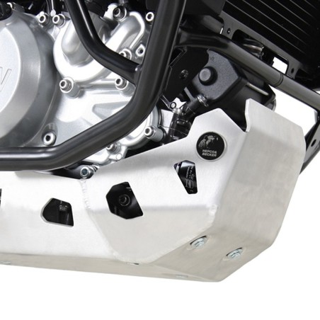 Paracoppa Hepco & Becker in alluminio specifico per BMW G310 R dal 2016