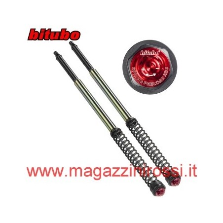 Set cartucce forcelle Bitubo ABB09 per Yamaha T-Max 500