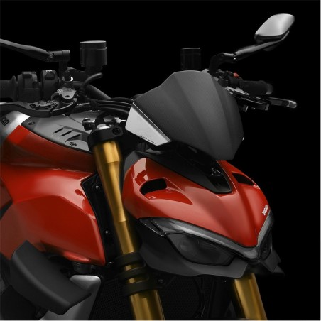 Cupolino Rizoma in carbonio per Ducati Streetfighter V4 dal 2019