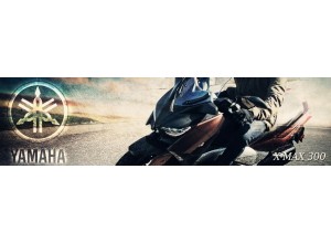 Yamaha X-Max 300 vendita on line accessori