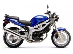 Suzuki SV 650 2002