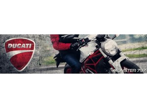 Accessori per Ducati Monster 797 in vendita on line