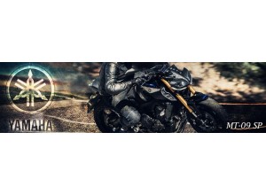 Accessori per Yamaha MT-09 SP in vendita on line