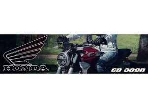 Vendita on line accessori per Honda CB 300R