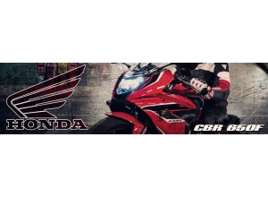 Vendita on line accessori per Honda CBR 650F