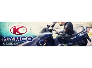 Accessori per Kymco G-Dink 300 in vendita on line