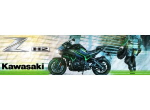 Kawasaki ZH2 vendita on line accessori