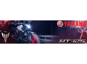 Accessori per Yamaha MT-125 in vendita on line