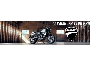 Ducati Scrambler 1100 Pro