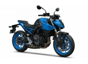 Vendita on line accessori per Suzuki GSX-8S