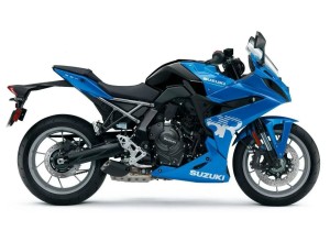 Vendita on line accessori per Suzuki GSX-8R