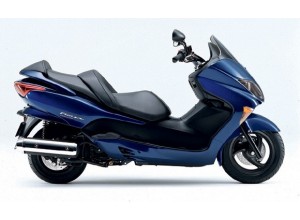 Honda Forza 250 2005