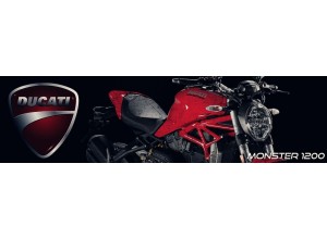 Ducati Monster 1200 vendita on line accessori