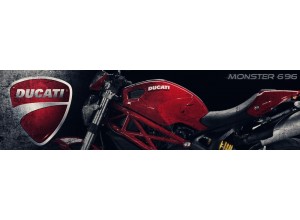 Ducati Monster 696 vendita on line accessori