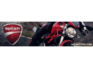 Ducati Monster 796 vendita on line accessori