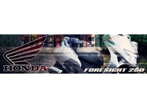 Honda Foresight 250 vendita on line accessori