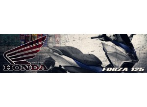 Honda Forza 125 vendita on line accessori