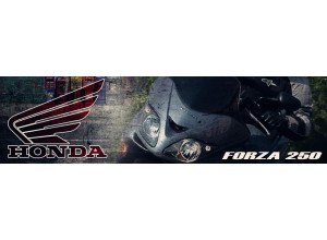 Honda Forza 250 vendita on line accessori