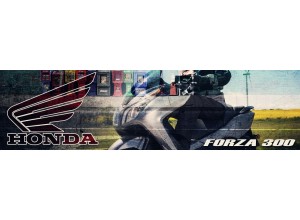 Honda Forza 300 vendita on line accessori