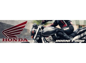 Honda Hornet 900 vendita on line accessori