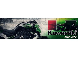 Kawasaki ER 6N vendita on line accessori