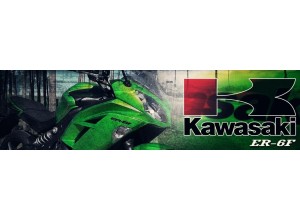 Kawasaki ER 6F vendita on line accessori