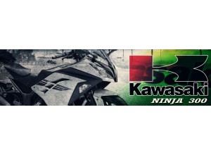 Kawasaki Ninja 300 vendita on line accessori