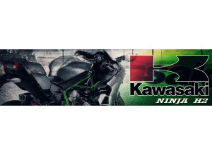 Kawasaki Ninja H2 vendita on line accessori