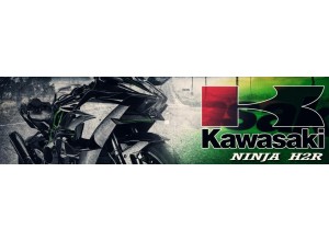 Kawasaki Ninja H2R vendita on line accessori