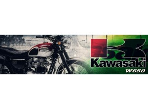 Kawasaki W650 vendita on line accessori