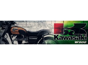 Kawasaki W800 vendita on line accessori