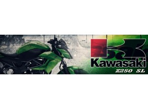 Kawasaki Z250 SL vendita on line accessori