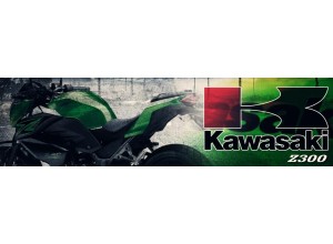 Kawasaki Z300 vendita on line accessori