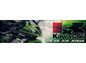 Kawasaki ZX-6R 636 Ninja vendita on line accessori