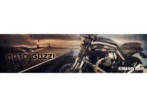 Moto Guzzi Griso 850 vendita on line accessori