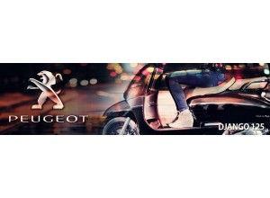 Peugeot Django 125 vendita on line accessori