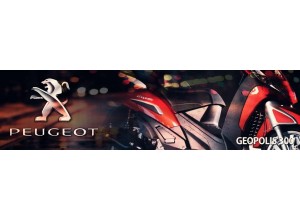 Peugeot Geopolis 300 vendita on line accessori