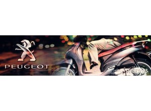 Peugeot Tweet 125 vendita on line accessori