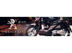 Peugeot Tweet 150 vendita on line accessori