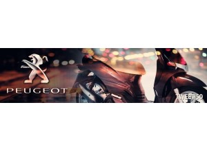 Peugeot Tweet 50 vendita on line accessori