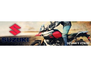 Suzuki DL 1000 V-Strom vendita on line accessori