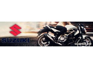 Suzuki Gladius 650 vendita on line accessori