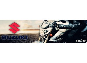 Suzuki GSR 750 vendita on line accessori