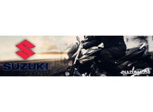 Suzuki Inazuma 250 vendita on line accessori