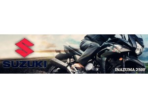 Suzuki Inazuma 250 F vendita on line accessori