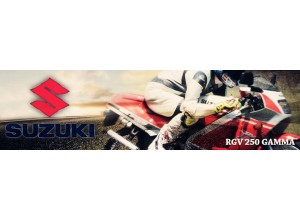 Suzuki RGV Gamma 250 vendita on line accessori